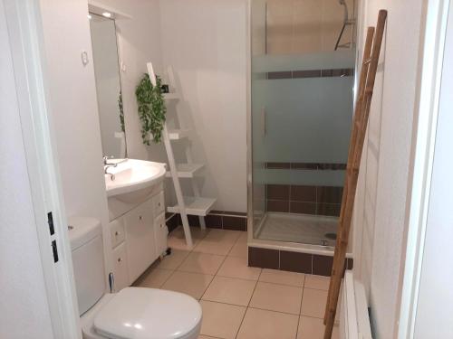 une salle de bain avec une douche, des toilettes et un lavabo dans l'établissement Appartement charmant avec balcon, proche centre de Capbreton, parking inclus - FR-1-239-941, à Capbreton