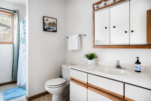La salle de bains est pourvue de toilettes blanches et d'un lavabo. dans l'établissement Cabin w Hot Tub, Indoor Pool, Gym Access, & Grill, à Hedgesville