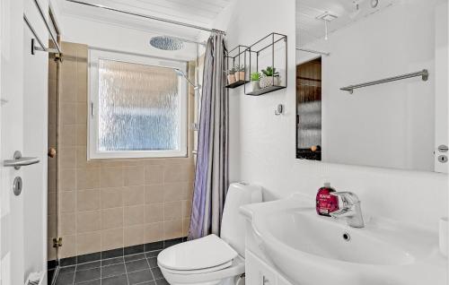 BjerregårdにあるGorgeous Home In Hvide Sande With Kitchenのバスルーム(洗面台、トイレ付)、窓が備わります。