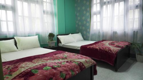 two beds in a room with green walls and windows at Drishtee Homestay in Rongli