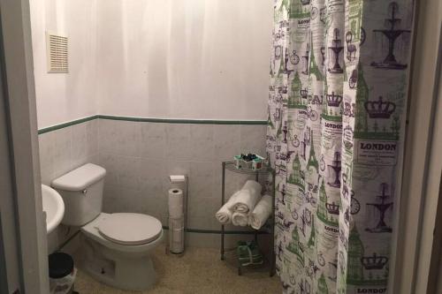 a bathroom with a toilet and a shower curtain at Mayagüez Apt- up to 4 guests- Close to Everything in Mayaguez