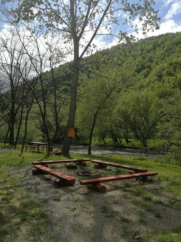 a group of picnic tables sitting next to a tree at Căsuțe Zăvoi Bulz in Bulz