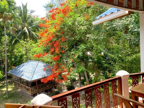 a flowering tree with red flowers on a balcony at Koh Tao Tropicana Resort in Koh Tao