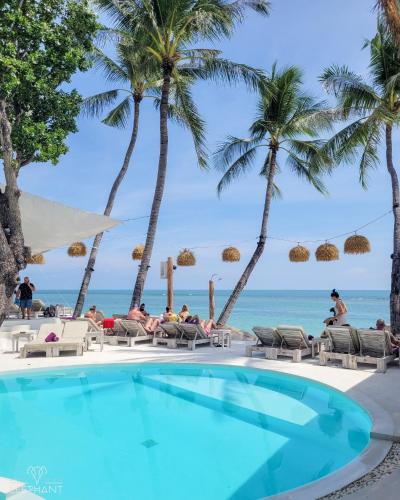 a pool at the beach with palm trees at Elephant Beach Club & Resort Samui in Chaweng