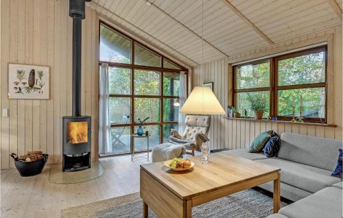 a living room with a couch and a fireplace at Stunning Home In Fårvang With Wifi in Fårvang