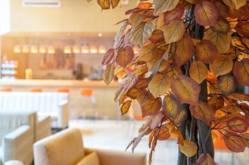 a tree with leaves on it in a room at Hotel Restaurante El Valles 4 ESTRELLAS in Briviesca