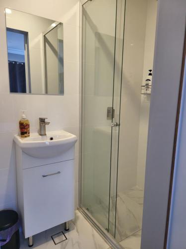 a bathroom with a sink and a shower at T&V Suites in Windsor