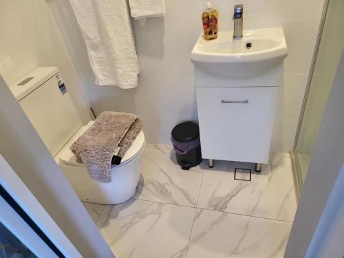 a small bathroom with a toilet and a sink at T&V Suites in Windsor