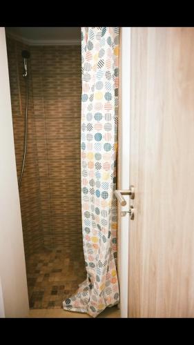 w łazience wisi zasłona prysznicową w obiekcie Brasov Accomodation1 w Braszowie