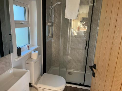 a bathroom with a toilet and a glass shower at MAESLLAN CABINS 'Hud Y Machlud' in Cross Inn