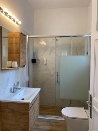 a bathroom with a shower and a toilet and a sink at White elephant first floor apartment in Volos