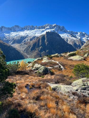 vistas a una cordillera nevada con un lago en Brand new apartment surrounded by Nature, en Schattdorf