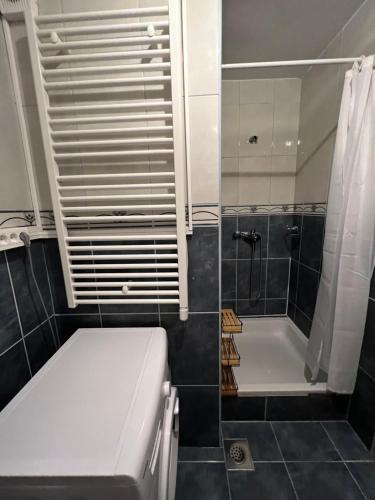 a bathroom with a shower and a toilet and a tub at Apartman Vera in Brela