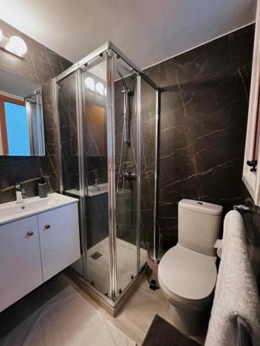 a bathroom with a shower and a toilet and a sink at Oasi Rejuve Villa in Meneou