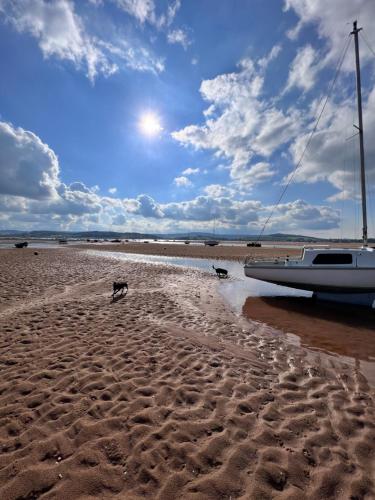 um cão a passear na praia com um barco em Time Out em Exmouth