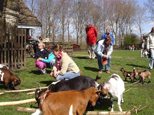 a group of people with animals in a field at Guesthouse at the Amstel river with 2BR 2BA and garden in Amstelveen