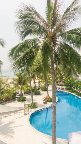 a palm tree next to a swimming pool at Seaside Boutique Resort Quy Nhon in Quy Nhon