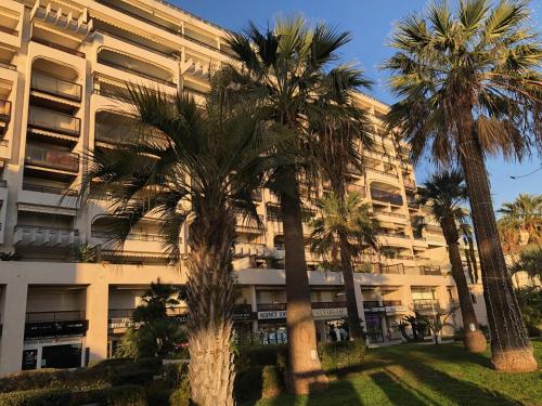 a building with palm trees in front of it at Appartement de standing Le Velvet Bay climatisé en bord de mer in Antibes
