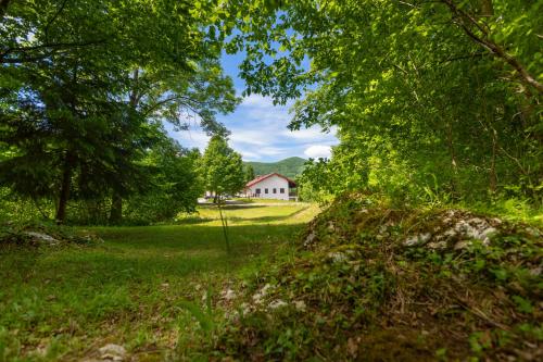 a house in the middle of a field with trees at B&B Green Serenity Plitvice Lakes in Plitvička Jezera