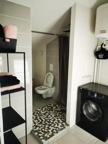 a bathroom with a washing machine and a toilet at Activités Et Nature Appartement in Vignot