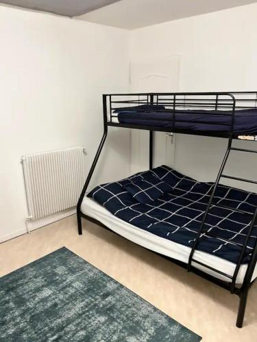 Grand appartement plein centre