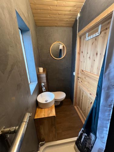 a small bathroom with a toilet and a sink at Gaukshof in Selfoss