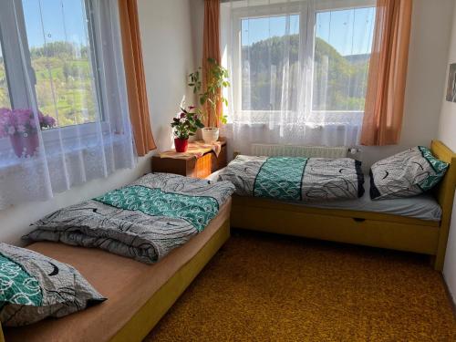 two beds in a room with two windows at Přízemí rodinného domu in Košťálov