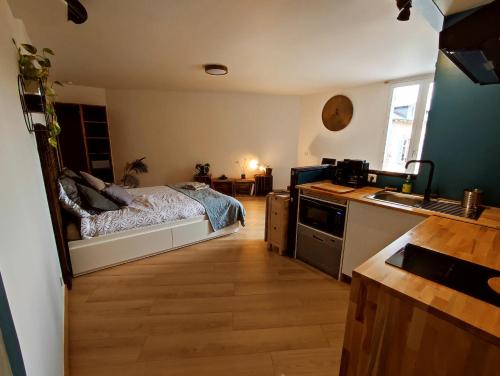1 dormitorio con 1 cama y cocina con fregadero en Appartement du pont St Etienne, en Limoges