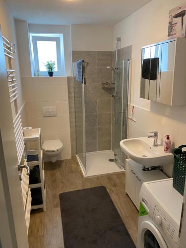 a bathroom with a shower and a toilet and a sink at Ferienwohnung Da Emi in Neunkirchen
