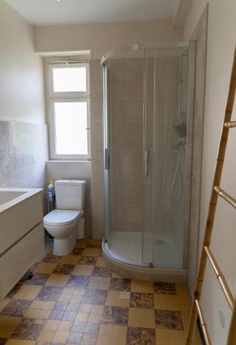 y baño con ducha, aseo y lavamanos. en Yapot en Colmar