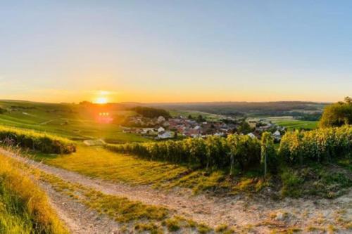 einen Sonnenuntergang auf einem Hügel mit einer unbefestigten Straße in der Unterkunft Cottage, Lodge & Spa in Prouilly