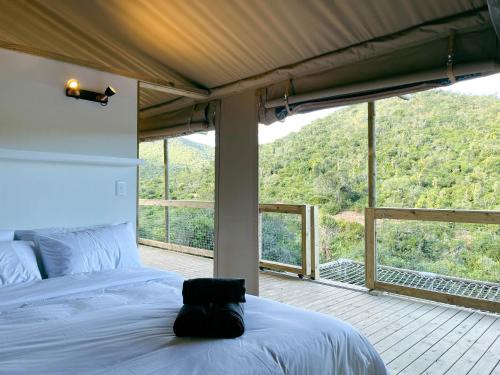 a bedroom with a bed and a large window at AfriCamps Addo in Swanepoelskraal