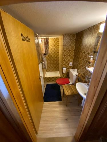 uma pequena casa de banho com WC e lavatório em Rigi-Burggeist Alpine Guesthouse em Gersau