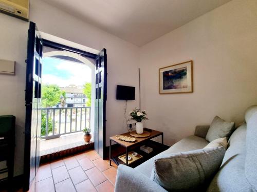 TV a/nebo společenská místnost v ubytování Apartamento con Patio Sevillano