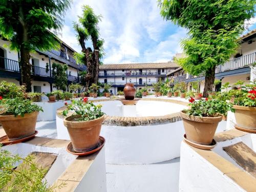 Apartamento con Patio Sevillano