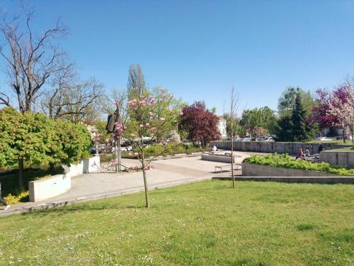 a park with a tree with flowers in the grass at Dreapart Pruszcz gdański in Pruszcz Gdański