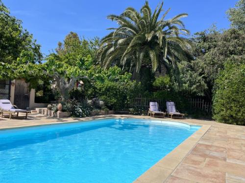 a swimming pool with two chairs and a palm tree at LA MAISON DE JUSTINE in Grimaud