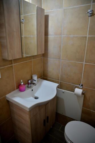 uma casa de banho com um lavatório e um WC em Lovely apartment em Alexandroupoli