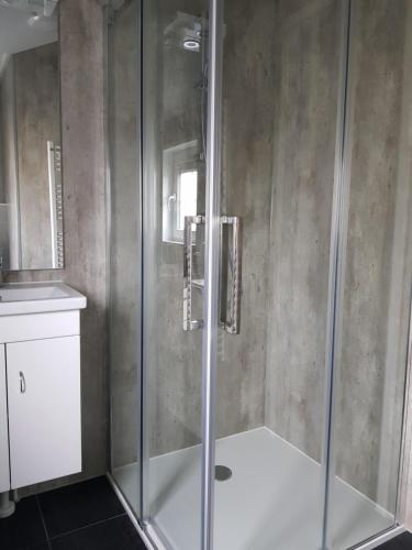 um chuveiro com uma porta de vidro na casa de banho em De Bijsselse Enk, Noors chalet 18 em Nunspeet