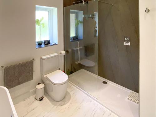 uma casa de banho com um chuveiro, um WC e uma banheira em Cae-fadog Fach em Barmouth