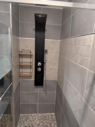 La salle de bains est pourvue d'une douche avec un pommeau de douche noir. dans l'établissement villa bois flottés, au Le Verdon-sur-Mer