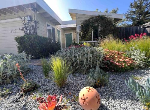 a garden in front of a house with plants at Palo Alto Quiet 1 Bedroom Stanford University in Palo Alto