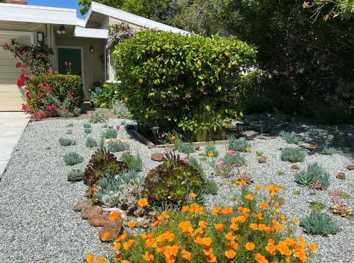 a garden with flowers and plants in front of a house at Palo Alto Quiet 1 Bedroom Stanford University in Palo Alto