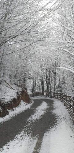 a snow covered path with trees and a fence at Casă de vacanță Lidia in Albac