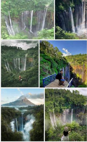a series of four pictures of different waterfalls at Ijen Farmer Homestay in Banyuwangi
