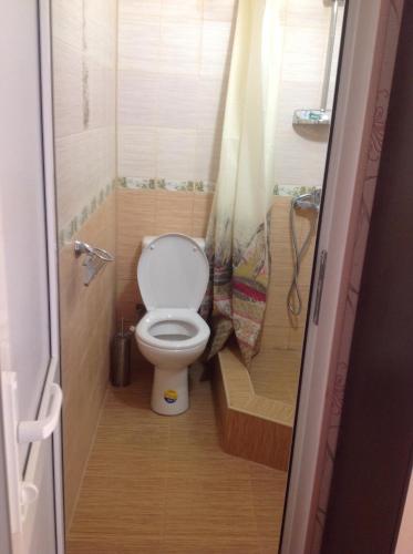 a small bathroom with a toilet and a shower at Гостевой дом Марина in Gagra