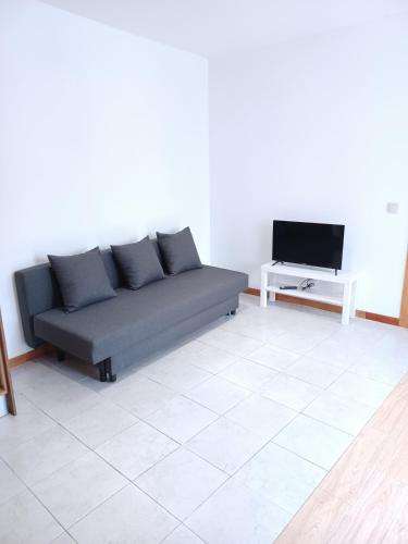 a living room with a couch and a tv at Enjoy Oporto Campanha 3 in Porto