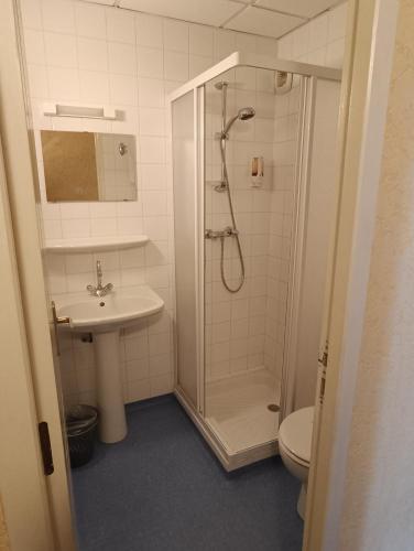 a bathroom with a shower and a sink and a toilet at Chez Marie et Didier Chalet saint Jacques in Lourdes