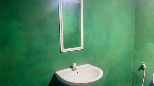 a green bathroom with a sink and a mirror at Sigiriya Homestay in Sigiriya