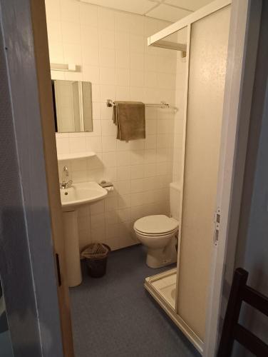 a bathroom with a toilet and a sink at Chambre chez Marie et Didier 1 minute à pied du sanctuaire de Lourdes in Lourdes